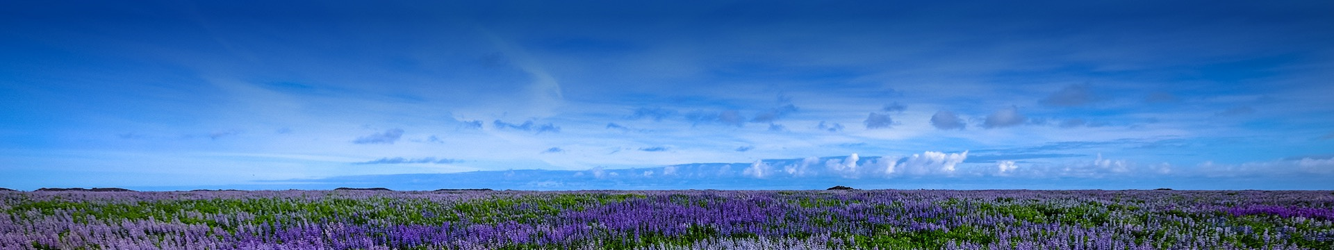 阜阳安息山陵园